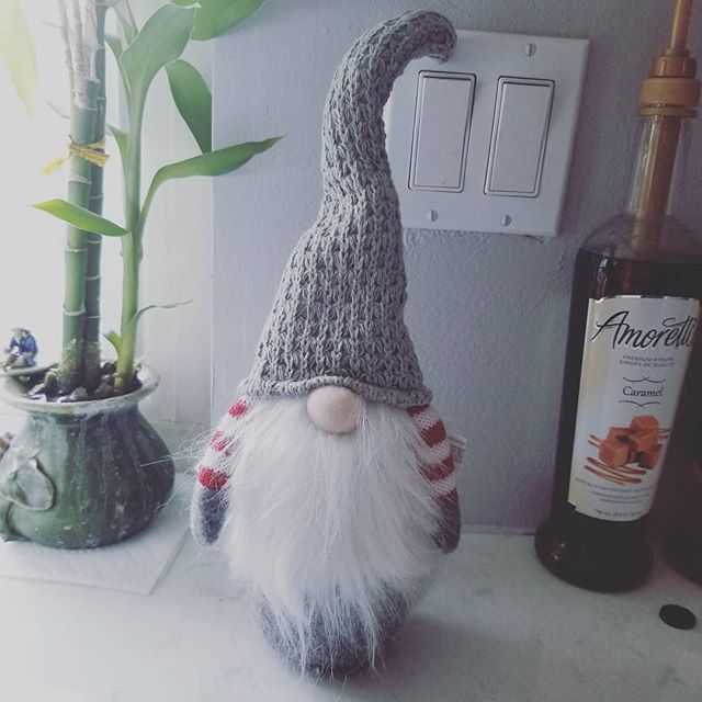 In love with my new gnome #tjmaxxfind #gnomes #gnomefortheholidays