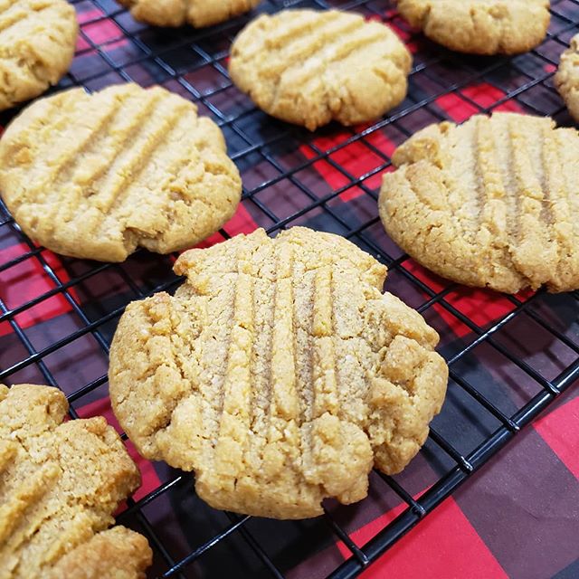Keto friendly peanut butter cookies! I had a sweet tooth craving and now i can indulge in these delicious,  moist, chewy peanut butter cookies.  Recipe: 1/2 cup unsweetened creamy peanut butter, 1 egg, 3/4 tsp baking soda, 1 tbsp melted refined coconut oil, 1/3 cup monk fruit sweetner, 1 cup almond flour. Mix together well in a bowl.  Preheat oven at 350 degrees and cook for 10 minutes.  Remove and allow to cool. Indulge! #keto #ketodietrecipes #ketodiet #ketoweightloss #ketodessert #ketorecipe #ketosis #ketofriendly #ketogeniclife #ketosweets #ketolifestyle