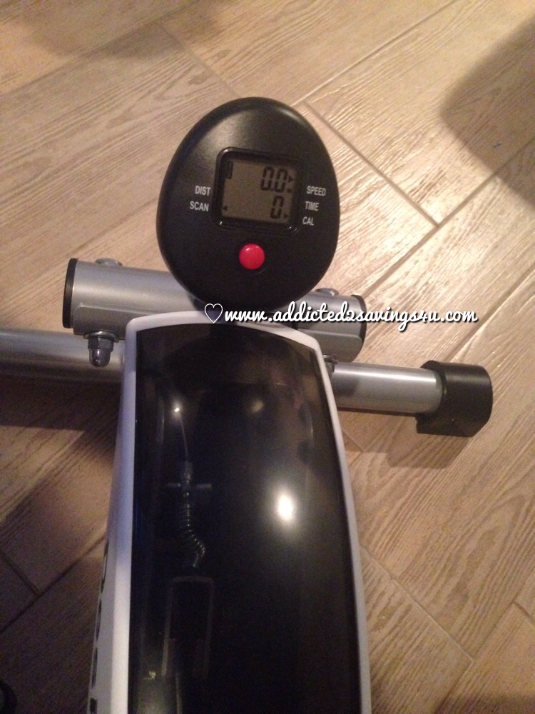 photo 3 (16)