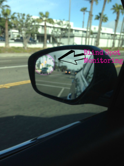 photo 1 (36)