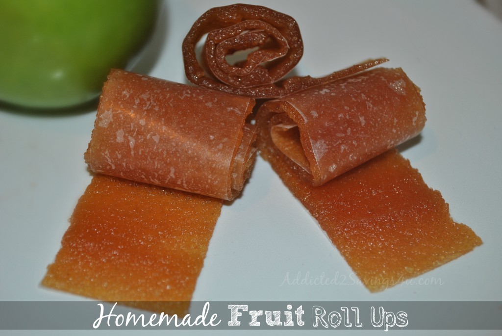 Homemade Fruit Rollups