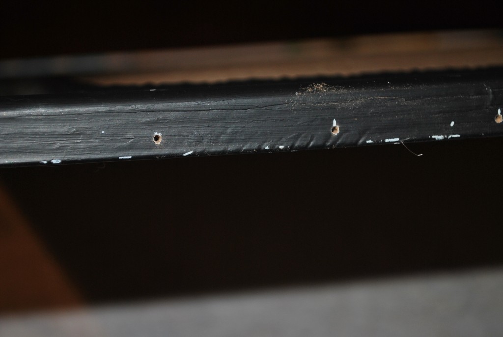 Screw Holes
