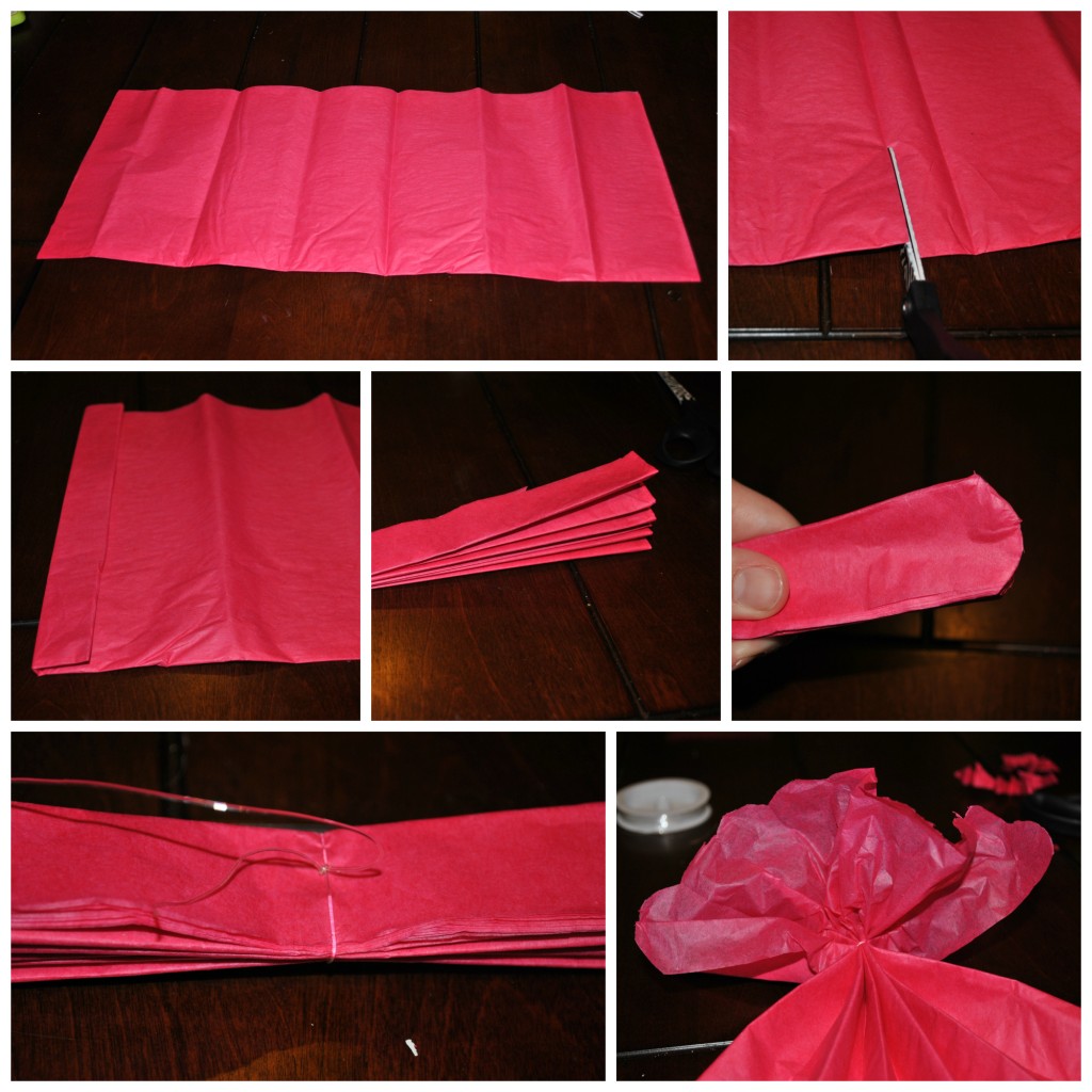 Tissue Pom Pom Assembly