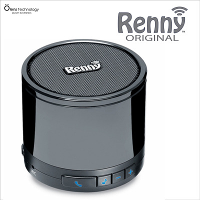 RennyOriginalMetalMainWebPic1000