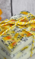 Homemade Vanilla Orange Citrus Soap