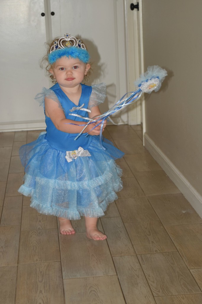 Cinderella costume