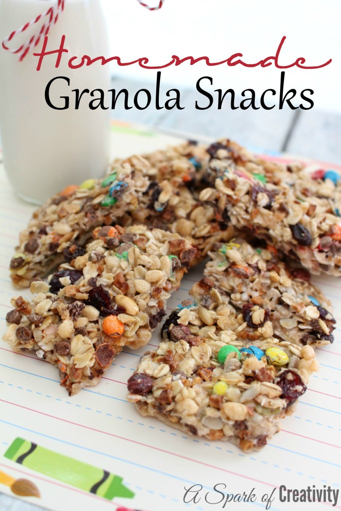 Homemade Granola Snacks