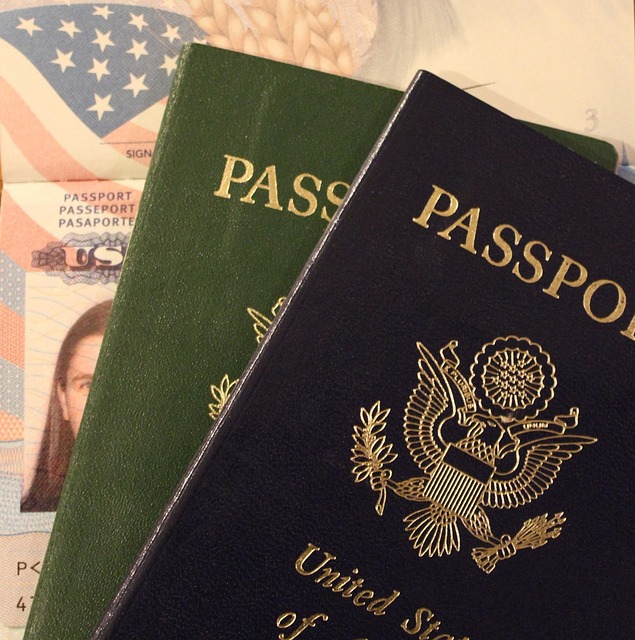In exchange for a monetary contribution to a country's economy, dual citizenship may be granted legally to an individual and, in some situations, their family members.